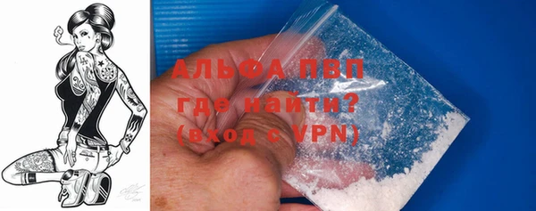 стафф Осташков