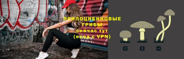 герыч Алексин