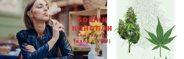 стафф Осташков